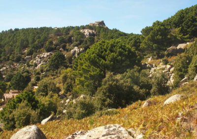 Portfolio séjour randonnée en Corse du Sud, fin sept 2019