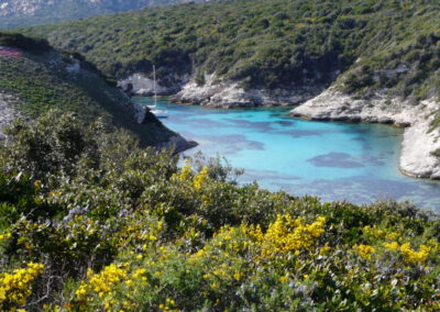 Portfolio séjour randonnée en Corse du Sud, printemps 2015