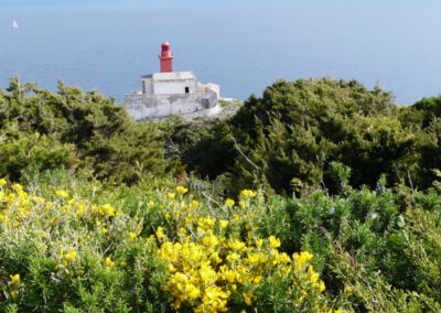 Portfolio séjour randonnée en Corse du Sud, printemps 2015