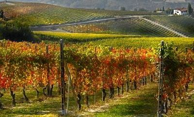 Langhe-ill1 randonnée en vallée Stura