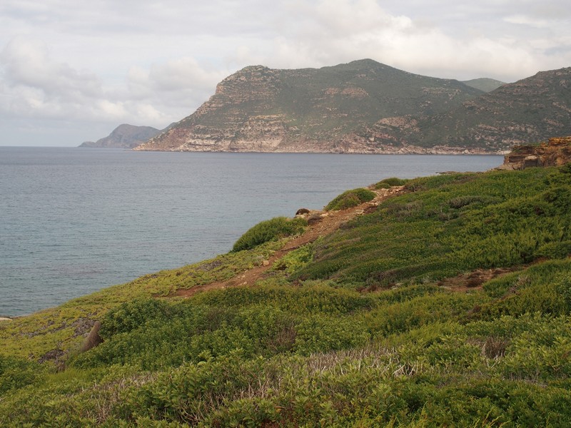 Sardaigne-NW-J8 voyage en Sardaigne