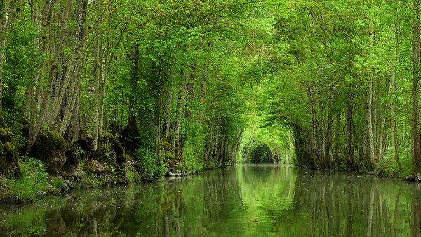 Vendee-J5 Voyage en Vendée
