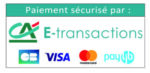 ca-e-transactions-cb-visa-mastercard