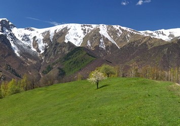 J4 la confrérie du Génépi