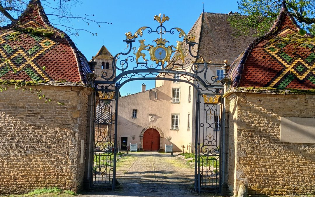 Portfolio La Bourgogne du Sud, séjour du 6 au 10 avril 2025