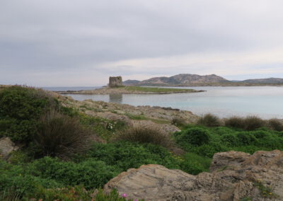 Sardaigne printemps 2025