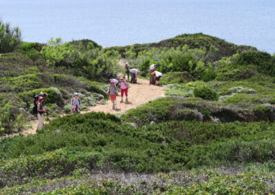 Sardaigne printemps 2025