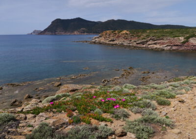 Sardaigne printemps 2025