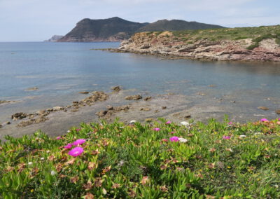 Sardaigne printemps 2025