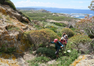 Sardaigne printemps 2025
