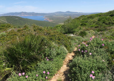 Sardaigne printemps 2025