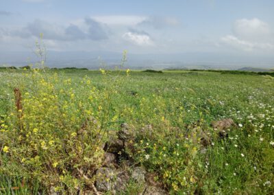 Sardaigne printemps 2025