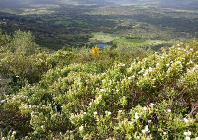 Sardaigne printemps 2025