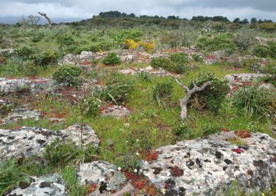 Sardaigne printemps 2025