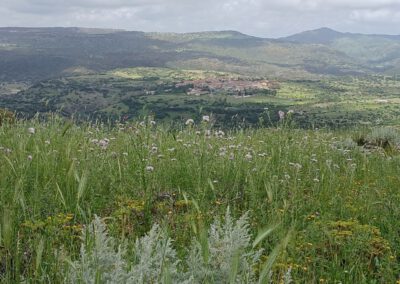 Sardaigne printemps 2025