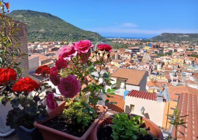 Sardaigne printemps 2025