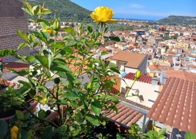 Sardaigne printemps 2025