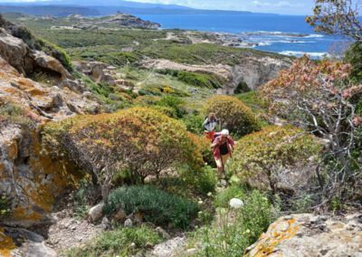 Sardaigne printemps 2025