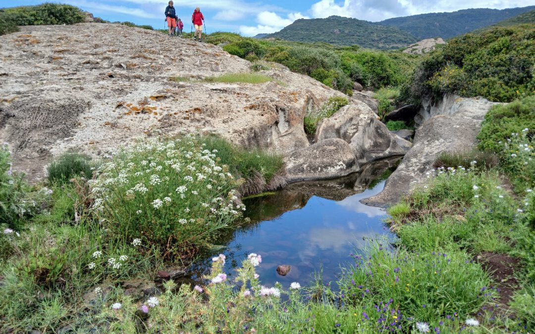 Portfolio Sardaigne Occidentale, séjour du 2 Mai 2025