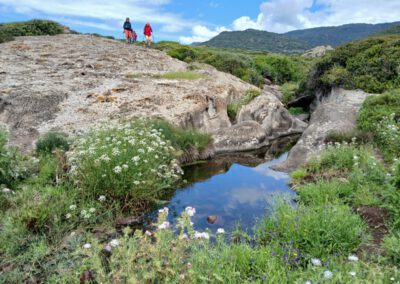 Sardaigne printemps 2025