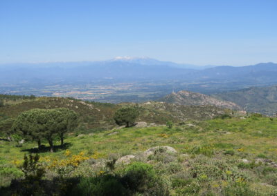 Cadaques et Costa Brava printemps 2025