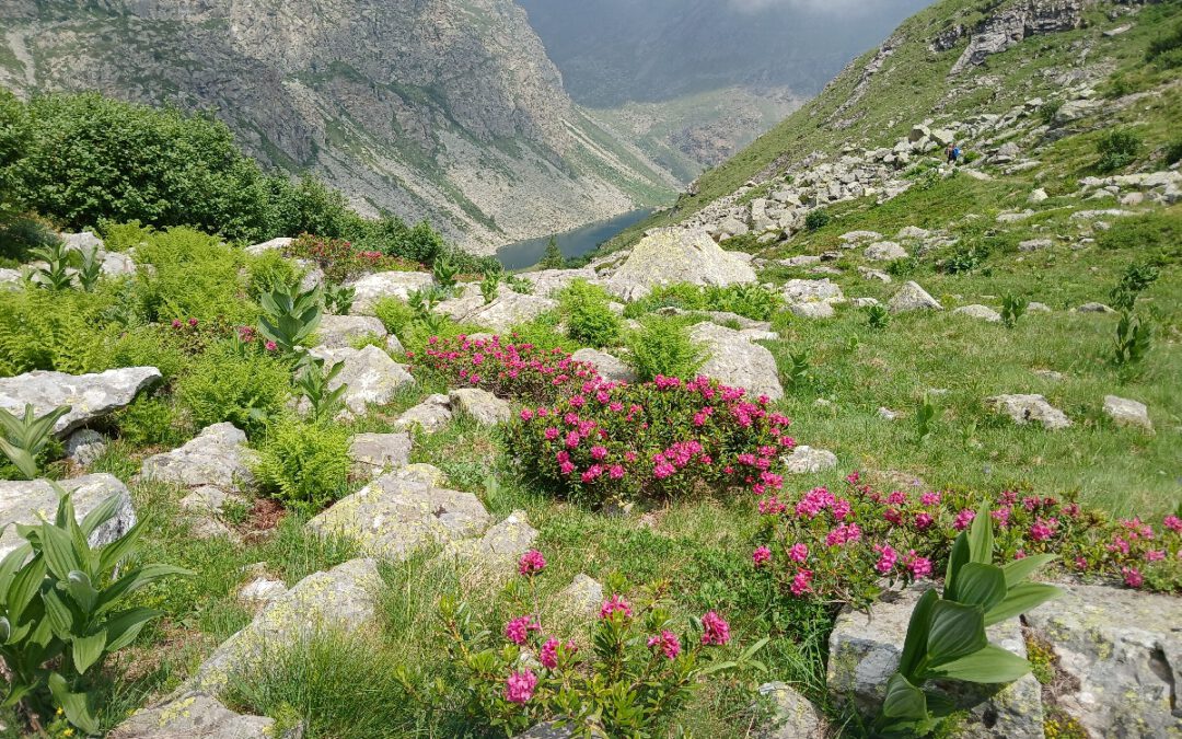 Portfolio Vallée du Pô, séjour du 25 juin au 1er juilet