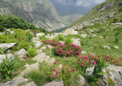 Portfolio Vallée du Pô, séjour du 25 juin au 1er juilet